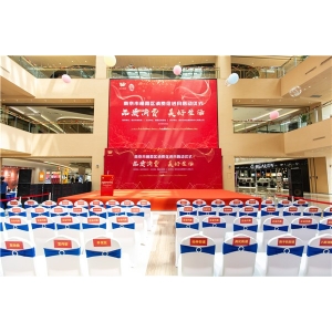案例展示八